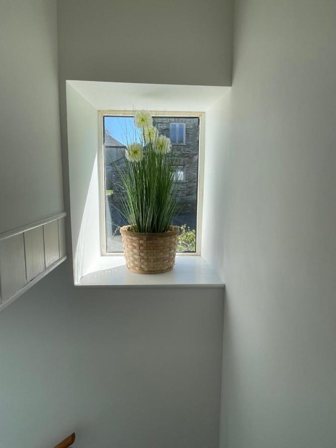 Mayfair, Tintagel 3 Bed Sleeps 6 Lejlighed Eksteriør billede